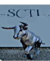SCTI